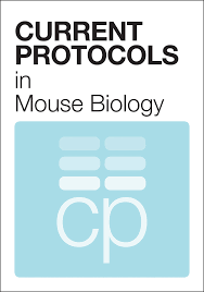 Swine flu is a respiratory disease of pigs caused by the influenza virus. The Mouse As Model System To Study Host Pathogen Interactions In Influenza A Infections Wilk 2012 Current Protocols In Mouse Biology Wiley Online Library