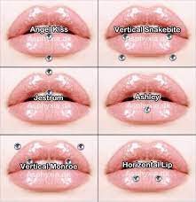 Piercings Lip Piercing Lip Piercing Lip Piercing Names Face Piercings