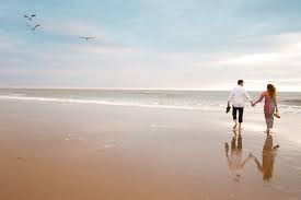 What Beaches Should You Visit Near Washington Dc Visit Virginia Beach Beach Virginia Beach Oceanfront