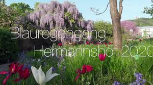 Professionelle pflanzplanung sorgt für einen garten, der auch langfristig funktioniert. Schau Und Sichtungsgarten Hermannshof