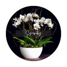 We did not find results for: Alexander S Floral Designs
