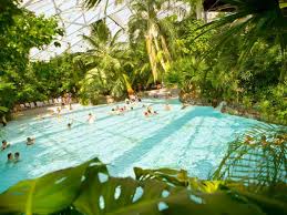85 Vrais Commentaires Sur L Etablissement Center Parcs Les Hauts De Bruyeres Booking Com