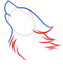 How To Draw A Wolf Spirit Step By Step Drawing Guide By Dawn Dragoart Com When the wolf is no longer around our earth is that much more diminished. how to draw a wolf spirit step by step
