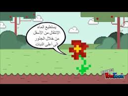 أهمية الماء للنبات واثار نقصه Youtube