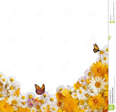 Flower Borders Images Free Google Search Clip Art Borders Animated Christmas Pictures Flower Border Clipart