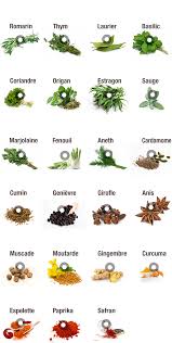 Herbes Et Epices By Romain Toulouse Images Fruits Et Legumes Epices Et Herbes Liste Des Epices