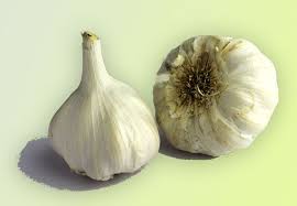 Bawang Putih Khasiat Kebaikan Dan Keburukan Bawang Putih Bawang Herba
