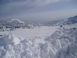 Pour les articles homonymes, voir la panthère des neiges, panthère, léopard (homonymie), once et irbis. Historique Des Chutes De Neige Sur Greolieres Les Neiges