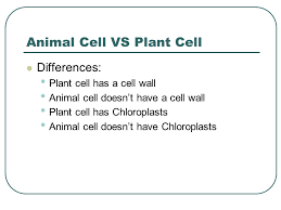 We did not find results for: Cells By Miss Burd And Mrs Tilicki Cells All Living Things Are Made Up Of Cells Cells The Basic Unit Of Structure For Our Bodies Ppt Download