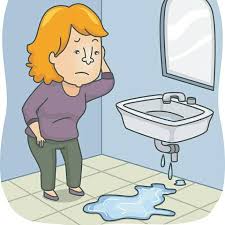The city of edmonton offers choosing new plumbing fixtures for your edmonton home or business is an exciting part of any. Pin On Edmonton Plumbing 780 462 2225