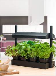 We did not find results for: Amazon Com Sunblaster Sl1600218 Micro Led Grow Light Garden 21 75 X 7 75 Black Garden Outdoor