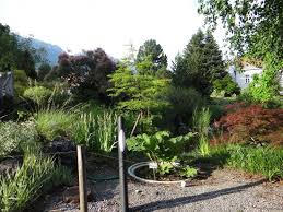 Besonders das schmetterlingshaus hatte es uns angetan.eine vielfalt der pflanzen ohne gleichen. Tolle Schmetterlingsausstellung Botanischer Garten Innsbruck Reisebewertungen Tripadvisor