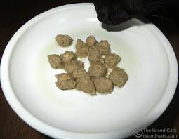 According to stella & chewy, 95% of the magical dinner dust is made up of meat, organ and bones, plus organic fruits and veggies. is it safe for my cat? Stella Chewy S Makes Feeding Raw Easy Chewyinfluencer The Island Cats Every Cat Wants To Be An Island Cat