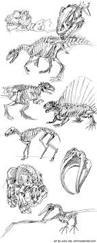 Dinosaur Drawings Dinosaur Gesture Drawings Forever Johnny Wander Updates Tuesday Skeleton Drawings Dinosaur Drawing Dinosaur Sketch