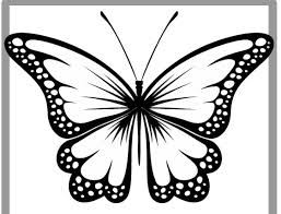 Cara membuat hiasan dinding kupu kupu sederhana dan. 570 Koleksi Sketsa Gambar Kolase Kupu Kupu Gratis Terbaik Kumpulan Gambar Kolase