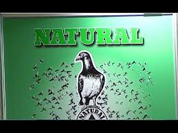 Guvercin Ilaclari Natural Granen Turkiye Mete Ithalat Ve Ihracat Youtube