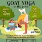 Goat Yoga in The Park event in McDonough, GA