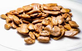 Image result for Picralima nitida