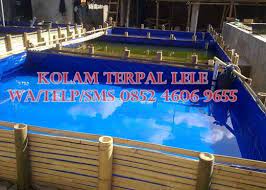 Kolam indoor umumnya menggunakan air yang selalu sama dan tidak terlalu sering diganti. Updates From Terpal Kolam Balikpapan 0852 4606 9655 Facebook