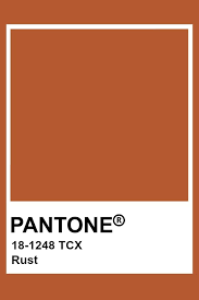 Pantone Rust Pantone Colour Palettes Pantone Pantone Color