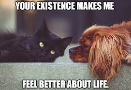 What to say to your best friend to make them smile? 100 Nice Things To Say To A Friend Pairedlife