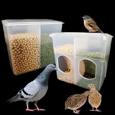 Automatic Pigeon Bird Feeder 2 Pack Quail Feeder Jamaica | Ubuy