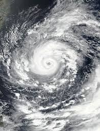 What was the wind speed of typhoon in fa? Aibgspzu331iam