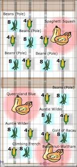 Square foot gardening allows you to plant much closer. I Want To Use Square Foot Gardening With A 3 Sisters Garden Hometalk