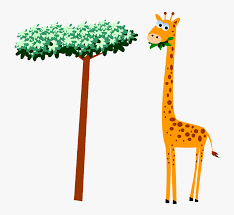Giraffe clipart black and white. Giraffe Clipart Black And White Giraffe Face Clipart Giraffe Eating Leaves Clipart Hd Png Download Kindpng