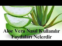 Aloe Vera Nasil Kullanilir Aloe Veranin Faydalari Aleo Vera Jel Aloe Youtube Aloe Ev Yapimi Cilt Bakimi Cilt Bakimi