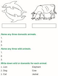 Grade 1 Science Lesson 3 The Animal Kingdom Primary Science Science Lessons Primary Science Grade 1