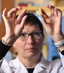 2017 SCIENTIFIC REPORT