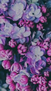 Condividi questa bellissima immagine sui fiori con dedica. Fiori Si Fiori Per Lo Sfondo Del Vostro Iphone Sfondi Floreali Sfondi Vintage Sfondi Iphone