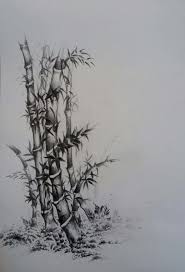 Buy Drawing Of A Bamboo Tree 40584 Charcoal And Graphite Online At Best Prices By Top World Artist Bamboo silhouette tree illustration, black and white bamboo, black bamboo illustration png clipart. drawing of a bamboo tree 40584 charcoal