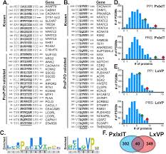 For the best home pest control in dfw, houston, austin, and san antonio, trust the local tx pest experts at romney pest control. Systematic Discovery Of Short Linear Motifs Decodes Calcineurin Phosphatase Signaling Biorxiv