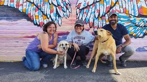 She really cares for animals. Paws Across Borders Rescues Dogs In Mexico But The Work Has Stalled