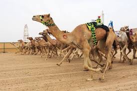 You would need to specify the track. Pin On Places To Go