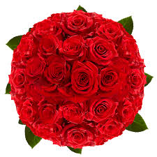 We did not find results for: Wholesale Flowers Red Roses Special Globalrose