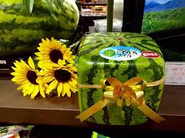 Miyazaki is the king of mangoes, world wide! 5 Most Expensive Fruits That Are Made In Japan All About Japan