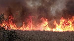 Nov 08, 2020 · incendio builds and fixes marketing, customer engagement, loyalty and crm programs. Incendios En La Cdmx La Sequia En Mexico Desato Un Infierno En La Gustavo A Madero Infobae