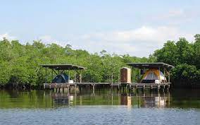 One of america's most famous national parks for a reason. Everglades National Park In Homestead Florida City Area Fl