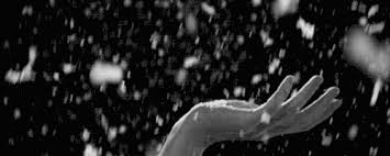 Image result for falling feathers