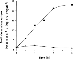 We did not find results for: Functional And Genetic Characterization Of The Methyl Ammonium Uptake Carrier Of Corynebacterium Glutamicum Journal Of Biological Chemistry