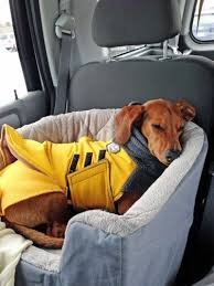 Travel Bed That S Safe For Your Dog In The Car Ammo The Dachshund Dog Car Accessories Dogs Dog Car