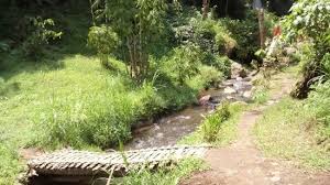Scopri ricette, idee per la casa, consigli di stile e altre idee da provare. Panah Arah Di Lokasi Coban Siuk Picture Of Coban Siuk Malang Tripadvisor