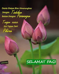 Tetaplah berpikir positif dan terus semangat untuk memberikan yang terbaik dalam pekerjaan anda. Gambar Kata Ucapan Selamat Pagi Positif Download Kumpulan Gambar