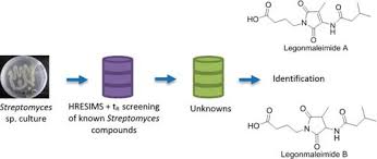 Image result for Eriocoelum microspermum