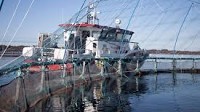 News - AKVA sells off stake in marine services company