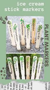 Plant Markers Labels Plant Markers Herb Labels Ice Cream Stick