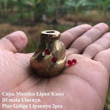 Maybe you would like to learn more about one of these? Cupu Mustika Lipan Asli Shopee Indonesia